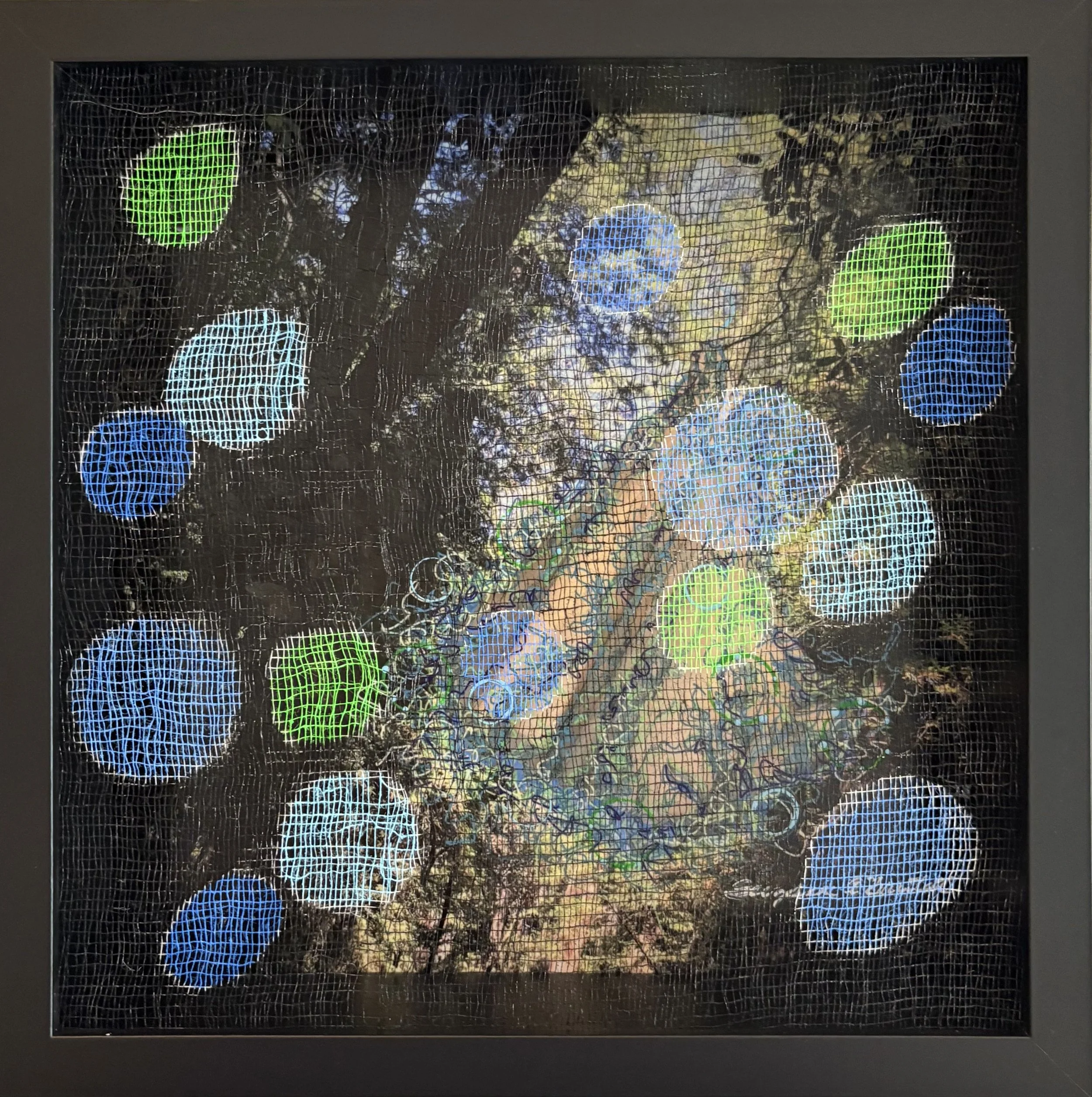 Aphrodite in the Rain — Washington Printmakers Gallery